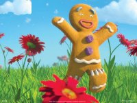 GINGER 1.jpg