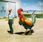 big rooster.jpg