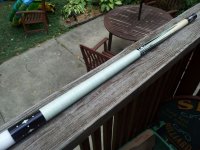 Ivory Tasc5.jpg Ivory Tasc5.jpg