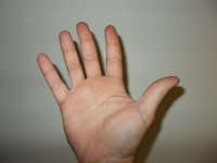 HAND.jpg