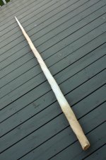 tusk10.jpg