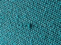 SPOT WEB 1.jpg