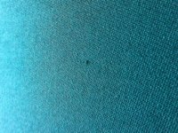 SPOT WEB 2.jpg