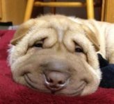 (81.jpg