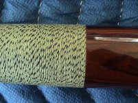 DSC01103.jpg