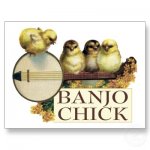 banjo_chick_postcard-p239314848611796715envli_400.jpg