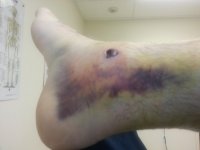 20120731_125504.jpg
