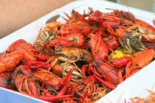 crawfish.jpg