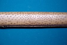 100_0571 (Medium).JPG