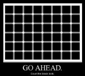 558340_430462496989696_54772820_n.jpg