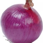 onion2.jpeg
