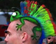 mohawk.jpg