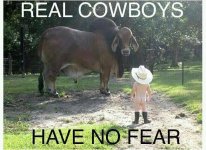 cowboy.jpg