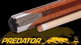predator-P3-GLC.jpg