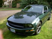 mustang 003.jpg