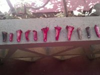 IMG_20121009_114329.jpg