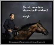 romney_horse_abuse_drugging_president_neigh.jpg