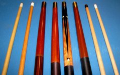 Laube Forearms.jpg