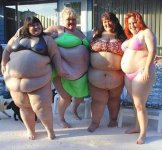 fat chicks in bikinis.jpg