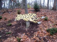 jaguar-tail-less.jpg