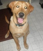 Mickey at 8 Months.jpg