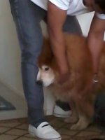 imagejpeg_2 (11).jpg