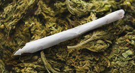 marijuana-kosher-joint-1217.jpg