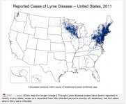CDC Lyme Map.jpg