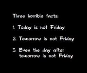 next day.jpg