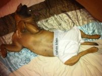 20111206195552_99139.jpg