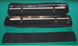 case 2.jpg