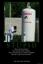 You Can't Fix Stupid.jpg