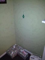 TheTreeIsUp.jpg