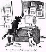 internet_dog.jpg