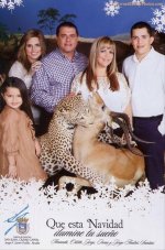 funny-christmas-postcards.jpg