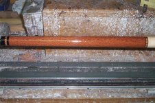 100_6887 (Medium) (Medium) (Small).JPG