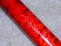 forearm.jpg