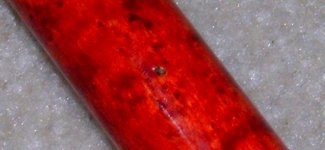 forearm 2.jpg