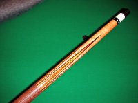 James_White_Snakewood_2.jpg
