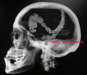 cr5.gif