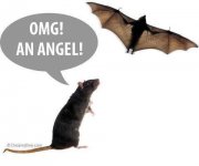 omg-an-angel.jpg