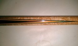 Ivory joint mottey1.jpg