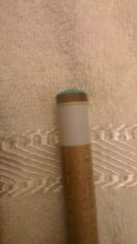 IMAG0411 (338 x 600).jpg