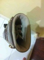 ImageUploadedByTapatalk1357115402.856745.jpg
