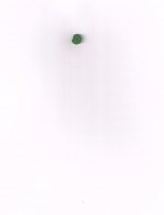 green tip off of schon sent to tiger.jpg