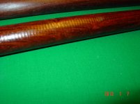 DSC05373.jpg