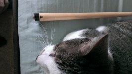 IMAG0048.jpg