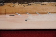 DSC_5387.JPG