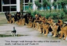 Say a prayer.jpg
