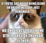 grumpycatVDay.jpg